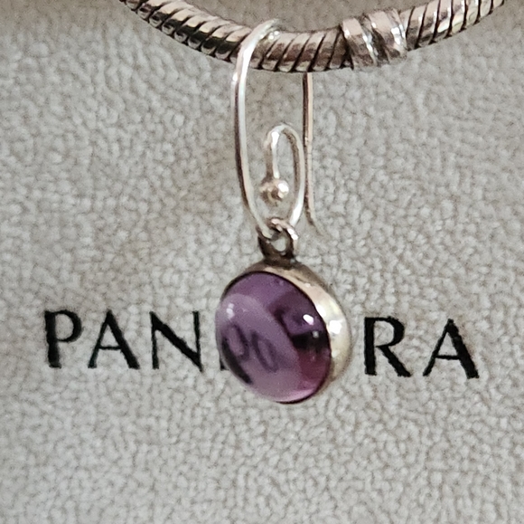 Pandora Compose Amethyst Disk Earring Charms - Picture 4 of 9